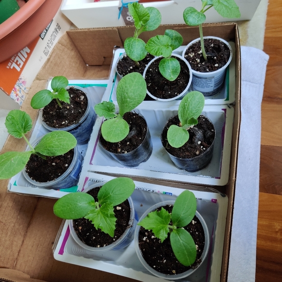 Meet your Posher, Alex - Picture 1 of 1